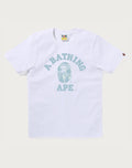 PASTEL COLOR CAMO COLLEGE TEE LADIES